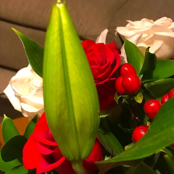 Meet your Posher, Lfc - Picture 2 of 4